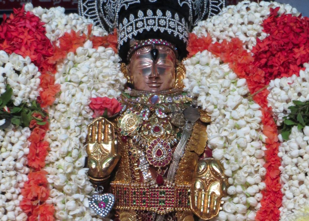 Thiruvelukkai Sri Azhagiyasinga PErumal Aadi ammavasai purappadu 2015-1