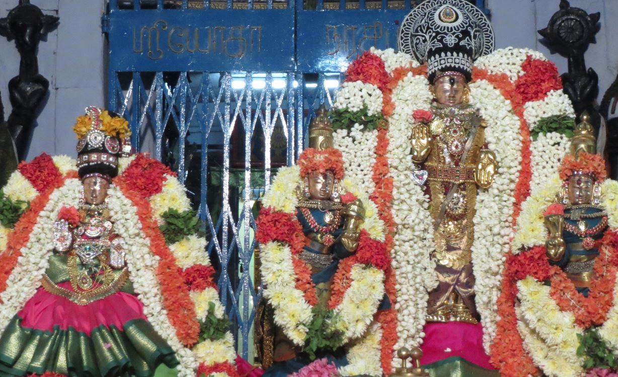 Thiruvelukkai Sri Azhagiyasinga PErumal Aadi ammavasai purappadu 2015-2