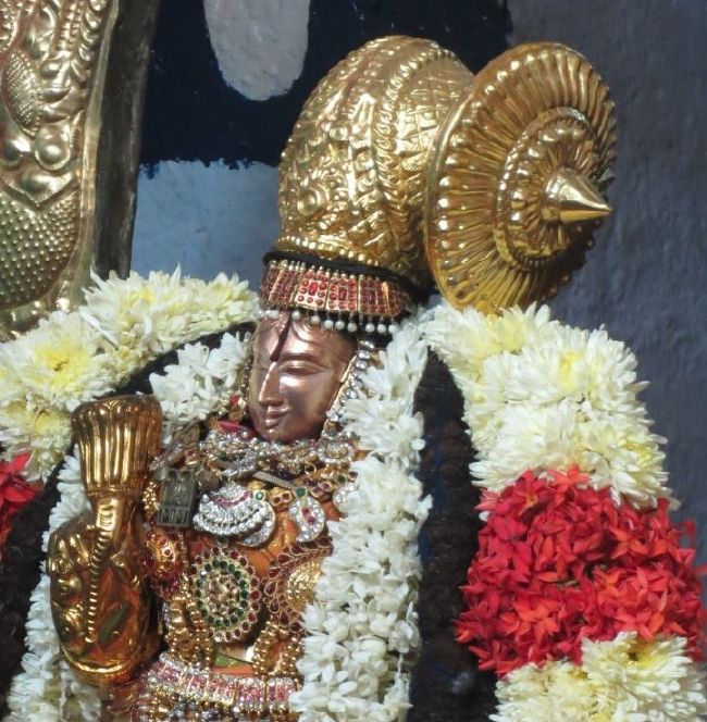 Thiruvelukkai Sri Azhagiyasinga Perumal  Temple Thiruvadipooram Utsavam -2015 05