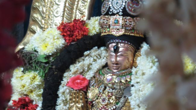 Thiruvelukkai Sri Azhagiyasinga Perumal  Temple Thiruvadipooram Utsavam -2015 06