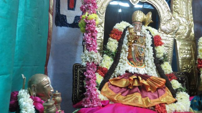 Thiruvelukkai Sri Azhagiyasinga Perumal  Temple Thiruvadipooram Utsavam -2015 07