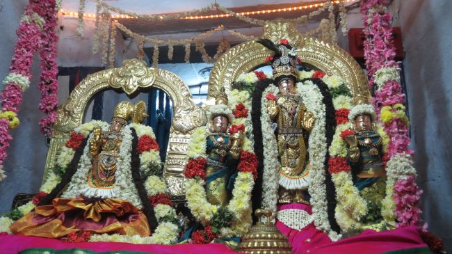 Thiruvelukkai Sri Azhagiyasinga Perumal  Temple Thiruvadipooram Utsavam -2015 08