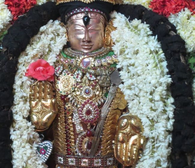 Thiruvelukkai Sri Azhagiyasinga Perumal  Temple Thiruvadipooram Utsavam -2015 11