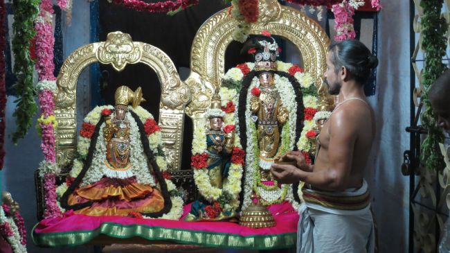 Thiruvelukkai Sri Azhagiyasinga Perumal  Temple Thiruvadipooram Utsavam -2015 15