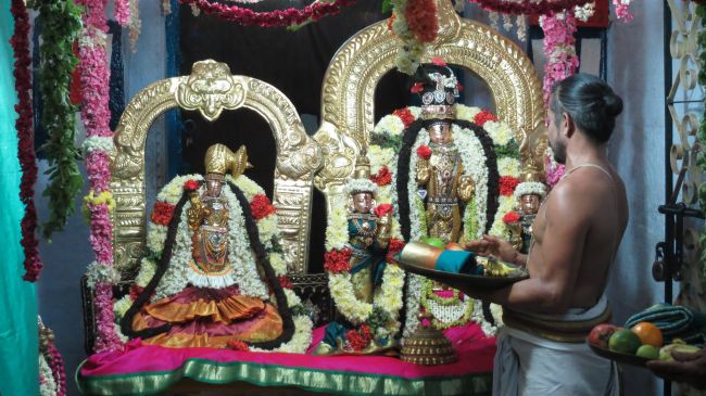 Thiruvelukkai Sri Azhagiyasinga Perumal  Temple Thiruvadipooram Utsavam -2015 16