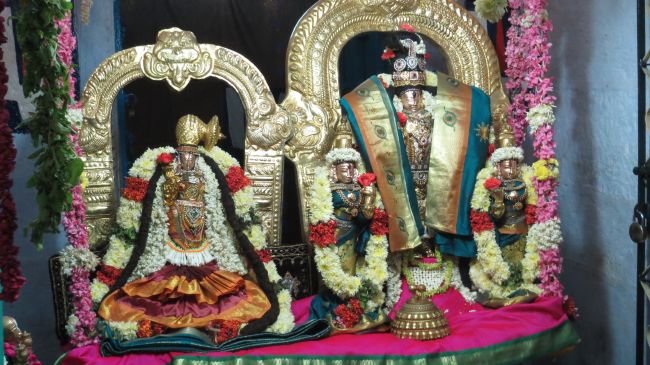 Thiruvelukkai Sri Azhagiyasinga Perumal  Temple Thiruvadipooram Utsavam -2015 23