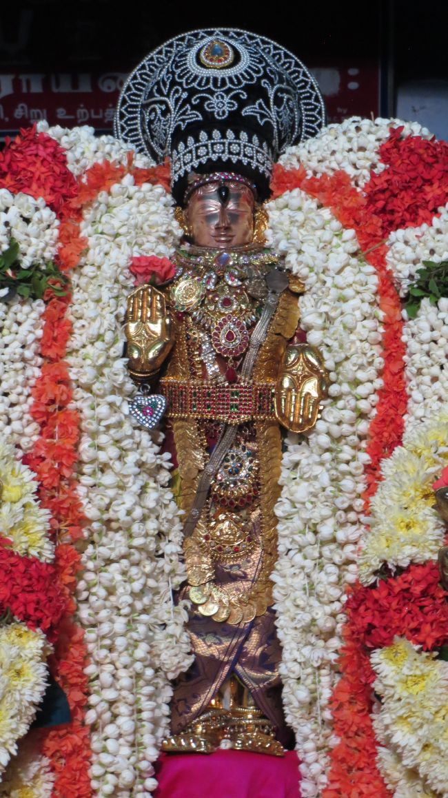 Thiruvelukkai Sri Azhagiyasingaperumal Aadi ammavasai purappadu -2015 02