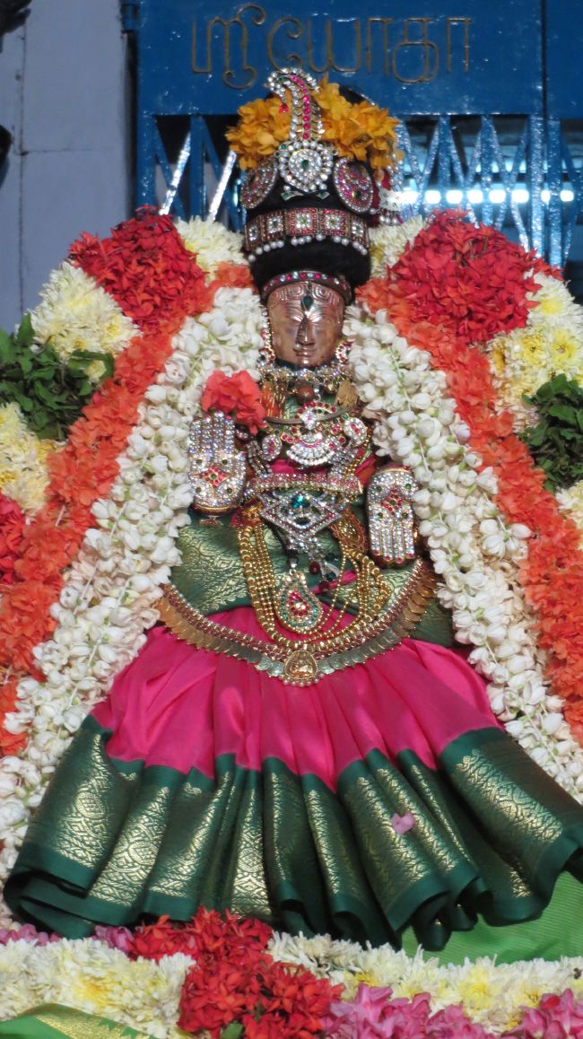 Thiruvelukkai Sri Azhagiyasingaperumal Aadi ammavasai purappadu -2015 03