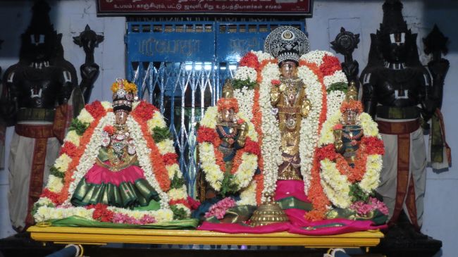 Thiruvelukkai Sri Azhagiyasingaperumal Aadi ammavasai purappadu -2015 05