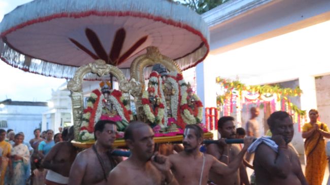 Thiruvelukkai Sri Azhagiyasingaperumal Aadi ammavasai purappadu -2015 11