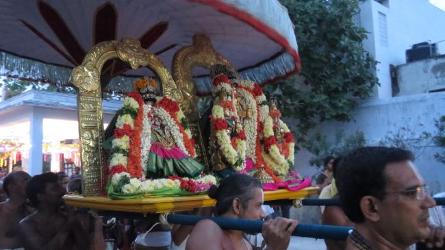Thiruvelukkai Sri Azhagiyasingaperumal Aadi ammavasai purappadu -2015 13