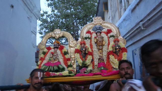 Thiruvelukkai Sri Azhagiyasingaperumal Aadi ammavasai purappadu -2015 15