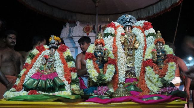 Thiruvelukkai Sri Azhagiyasingaperumal Aadi ammavasai purappadu -2015 34