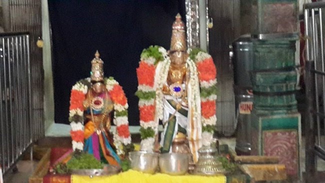Thiruvinnagar Sri Oppilliappan Venkatachalapathi Temple Manmadha Varusha Jyestabhishekam2