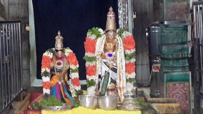 Thiruvinnagar Sri Oppilliappan Venkatachalapathi Temple Manmadha Varusha Jyestabhishekam6