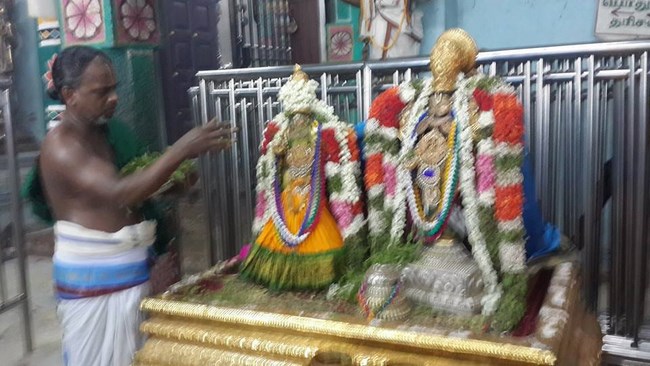 Thiruvinnagar Sri Oppilliappan Venkatachalapathi Temple Manmadha Varusha ThiruPavithrotsavam11