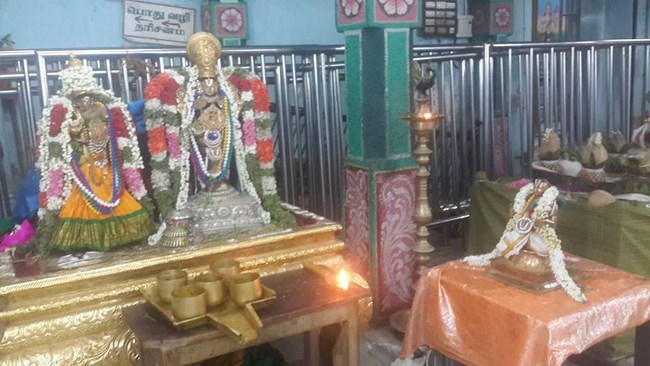 Thiruvinnagar Sri Oppilliappan Venkatachalapathi Temple Manmadha Varusha ThiruPavithrotsavam12