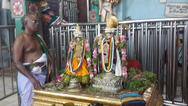 Thiruvinnagar Sri Oppilliappan Venkatachalapathi Temple Manmadha Varusha ThiruPavithrotsavam15