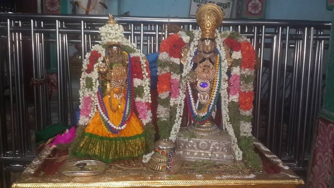Thiruvinnagar Sri Oppilliappan Venkatachalapathi Temple Manmadha Varusha ThiruPavithrotsavam8