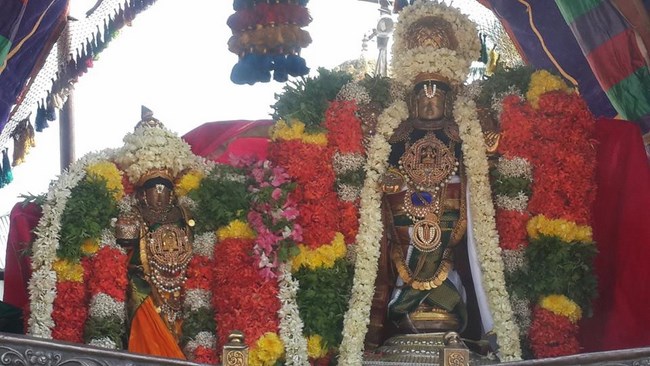 Thiruvinnagar Sri Oppilliappan Venkatachalapathi Temple Manmadha Varusha Thiruvadipooram Utsavam3