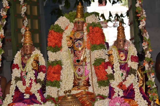 Thoopul Sri Deepaprakasar Temple Thiruvadipooram UTsavami-2015 10