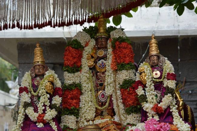 Thoopul Sri Deepaprakasar Temple Thiruvadipooram UTsavami-2015 12