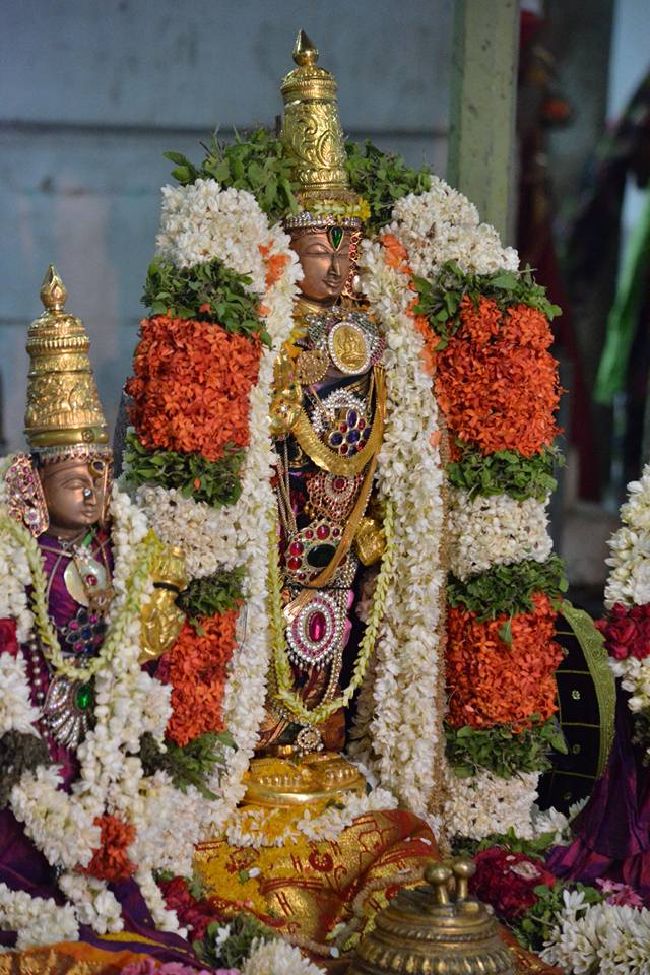 Thoopul Sri Deepaprakasar Temple Thiruvadipooram UTsavami-2015 28
