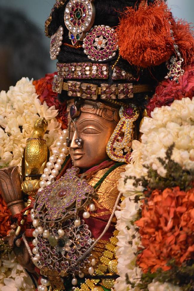 Thoopul Sri Deepaprakasar Temple Thiruvadipooram UTsavami-2015 33