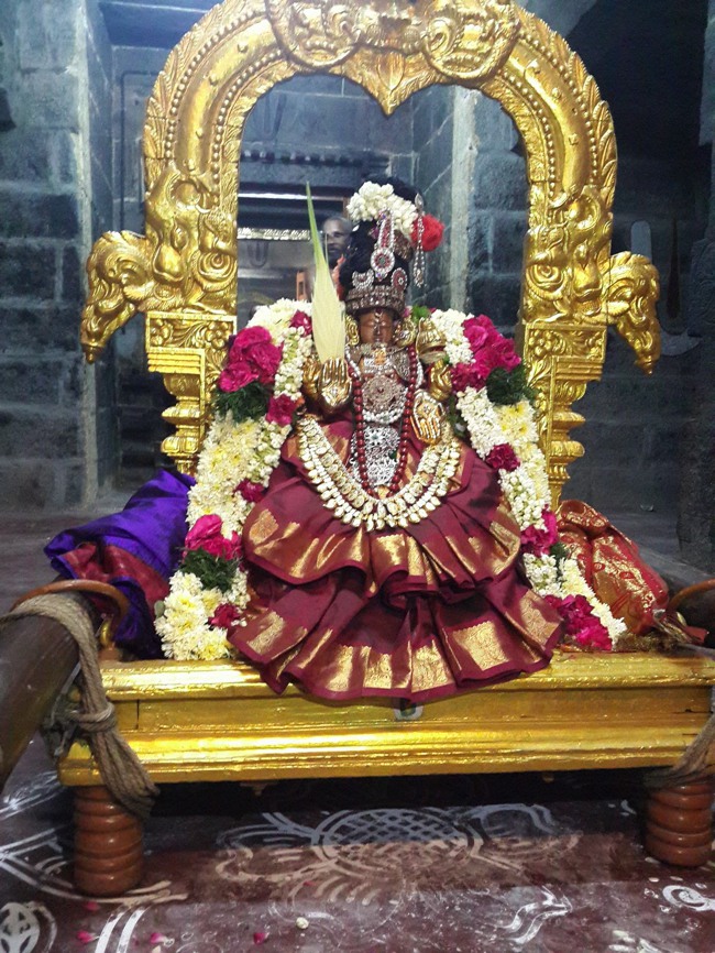 Thoopul Sri Maragadhavalli THayar  Aadi Velli  Purappadu -2015-00