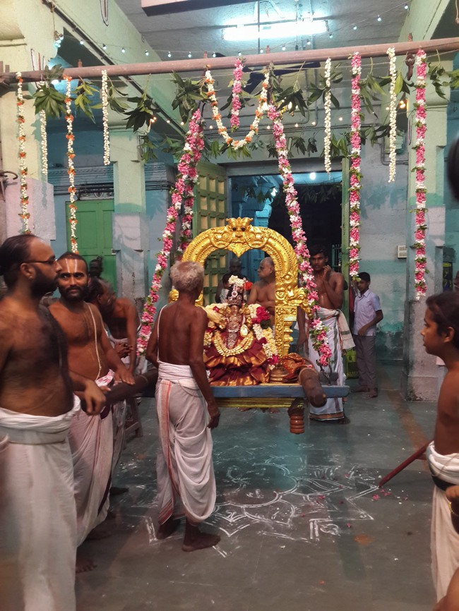 Thoopul Sri Maragadhavalli THayar  Aadi Velli  Purappadu -2015-02