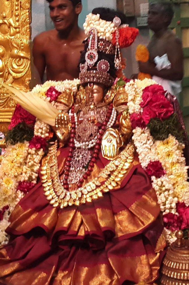 Thoopul Sri Maragadhavalli THayar  Aadi Velli  Purappadu -2015-06