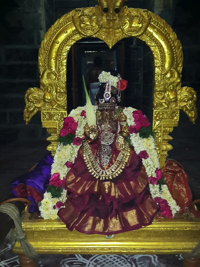 Thoopul Sri Maragadhavalli THayar  Aadi Velli  Purappadu -2015-09
