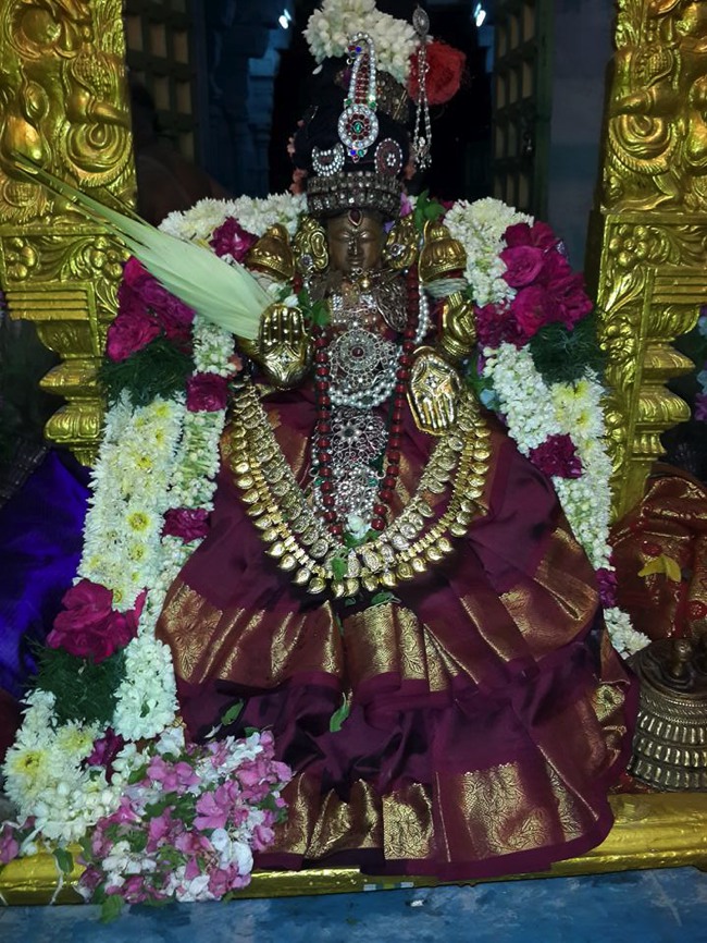 Thoopul Sri Maragadhavalli THayar  Aadi Velli  Purappadu -2015-14