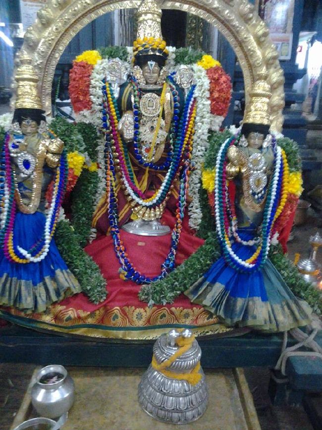 Trichy BHEL Srinivasa PErumal Temple Manmadha varusha Pavithrotsavam -2015 05