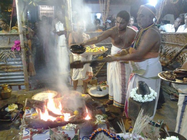 Trichy BHEL Srinivasa PErumal Temple Manmadha varusha Pavithrotsavam -2015 06