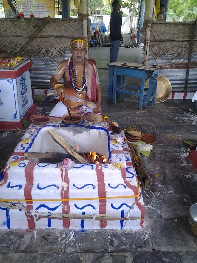 Trichy BHEL Srinivasa PErumal Temple Manmadha varusha Pavithrotsavam -2015 10
