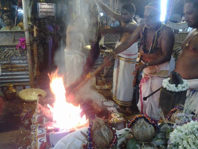 Trichy BHEL Srinivasa PErumal Temple Manmadha varusha Pavithrotsavam -2015 14