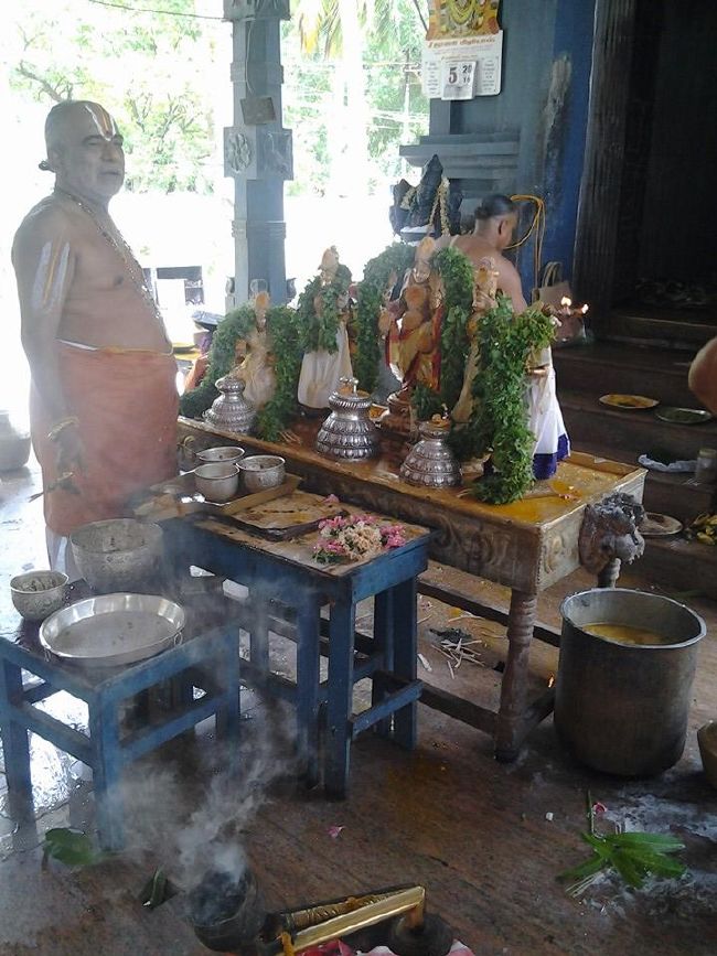 Trichy BHEL Srinivasa PErumal Temple Manmadha varusha Pavithrotsavam -2015 23