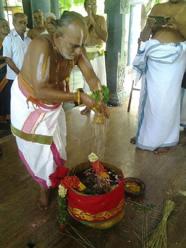 Trichy BHEL Srinivasa PErumal Temple Manmadha varusha Pavithrotsavam -2015 31