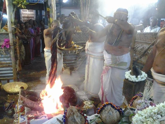 Trichy BHEL Srinivasa PErumal Temple Manmadha varusha Pavithrotsavam -2015 32