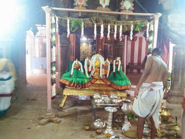 Vanamamalai Sri Deivanayaga Perumal Temple Manmadha Varusha Thiruvadipooram Utsavam1