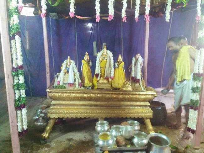 Vanamamalai Sri Deivanayaga Perumal Temple Manmadha Varusha Thiruvadipooram Utsavam2