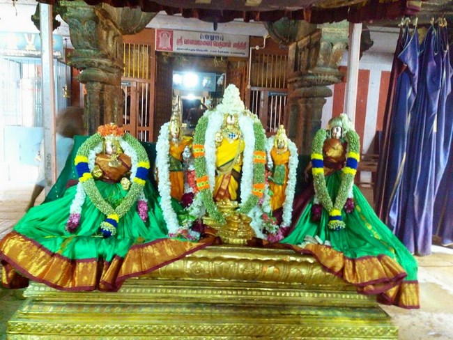 Vanamamalai Sri Deivanayaga Perumal Temple Manmadha Varusha Thiruvadipooram Utsavam5