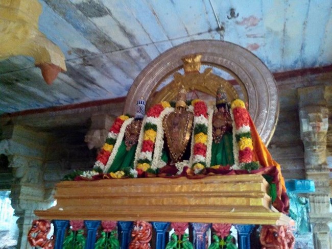 Vanamamalai Sri Deivanayaga Perumal Temple Manmadha Varusha Thiruvadipooram Utsavam6