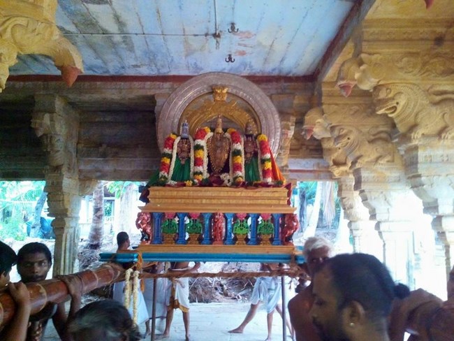 Vanamamalai Sri Deivanayaga Perumal Temple Manmadha Varusha Thiruvadipooram Utsavam7