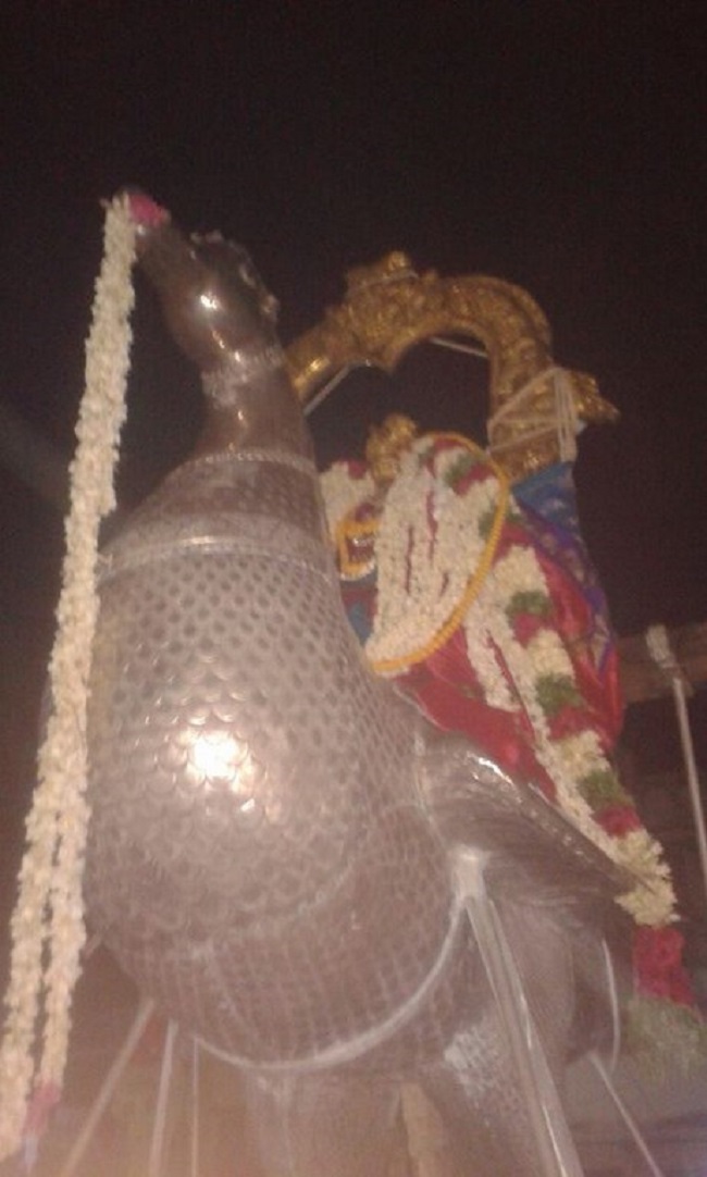 Azhwar Thirunagari Sri Adhinathar Kovil Manmadha Varusha Thiru pavithrothsavam12