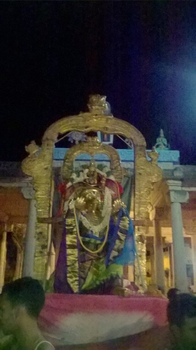 Azhwar Thirunagari Sri Adhinathar Kovil Manmadha Varusha Thiru pavithrothsavam4