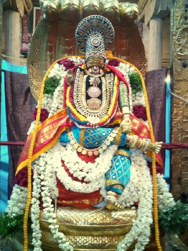Azhwar Thirunagari Sri Adhinathar Kovil Manmadha Varusha Thiru pavithrothsavam6