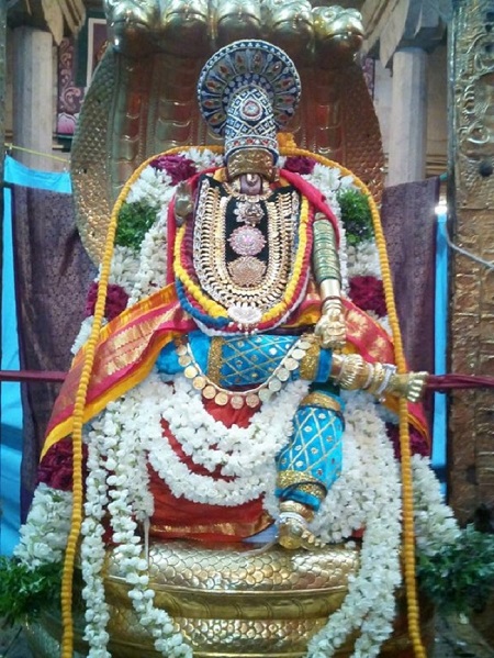 Azhwar Thirunagari Sri Adhinathar Kovil Manmadha Varusha Thiru pavithrothsavam8