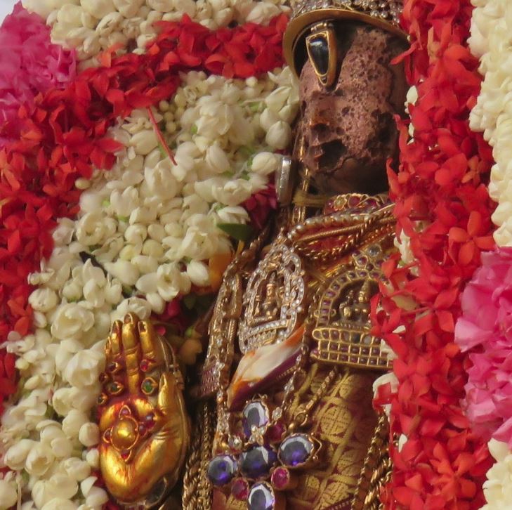 Kanchi Devaperumal Avani ekadasi purappadu 2015-1